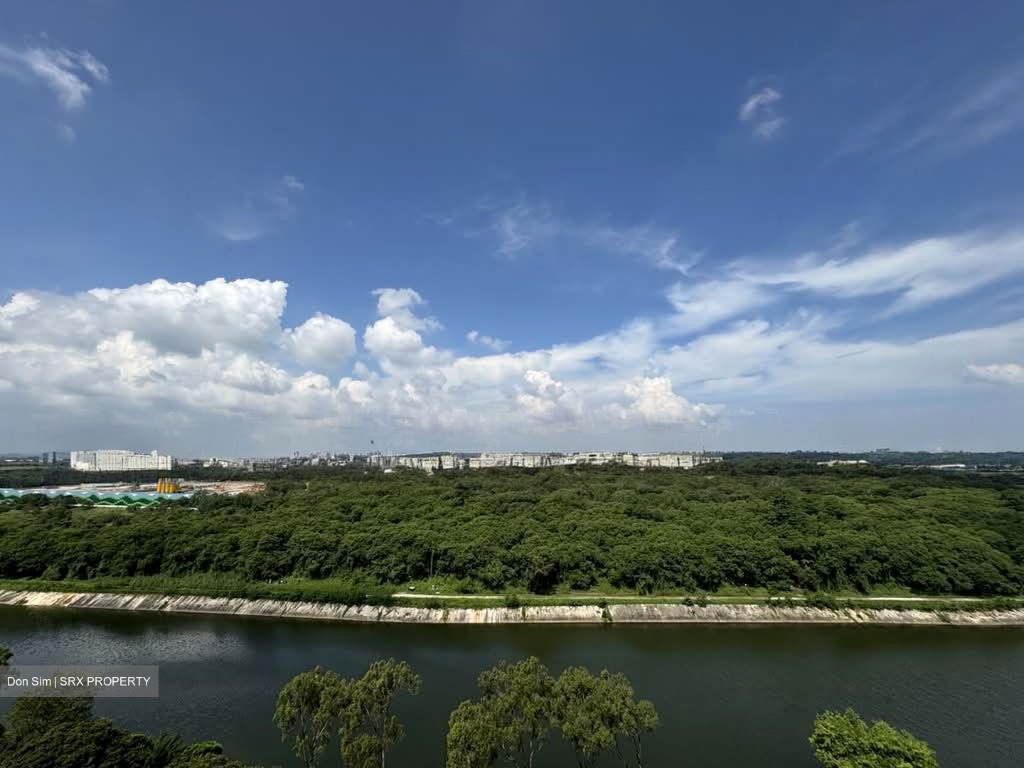 Riverfront Residences (D19), Apartment #564185841